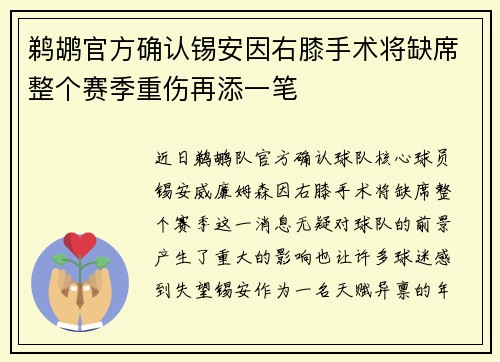 鹈鹕官方确认锡安因右膝手术将缺席整个赛季重伤再添一笔