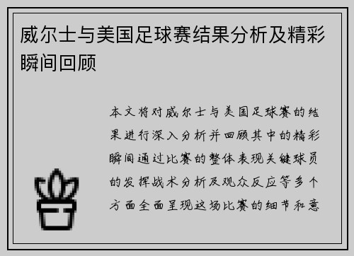 威尔士与美国足球赛结果分析及精彩瞬间回顾