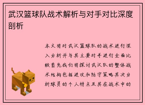 武汉篮球队战术解析与对手对比深度剖析