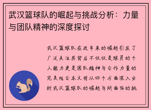 武汉篮球队的崛起与挑战分析：力量与团队精神的深度探讨